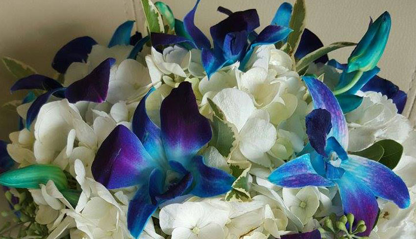 Bella-Flora-Floral-Design-Boutique-in-Sudbury-Ontario-Blue-Bouquet