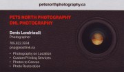 Pets North Photography DHL Photography in Sudbury Ontario Denis Landriault Photographer